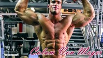 Bodybuilding Motivation - TOP 6 Aesthetic Bodybuilders 2016 - 2017 - YouTube