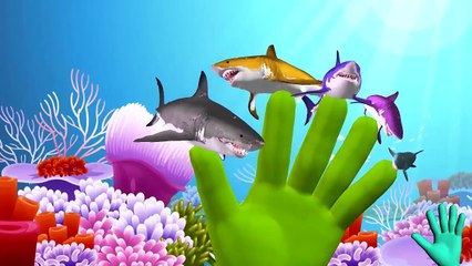 Superheroes Attacked By Gaint Shark Finger Family Nursery Rhymes For Kids