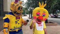 Five Nights at Freddys COSPLAY - FREDBEAR & TOY CHICA at Wizard World COMIC CON Austin