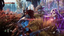 Horizon Zero Dawn 4K Gameplay Show and Tell