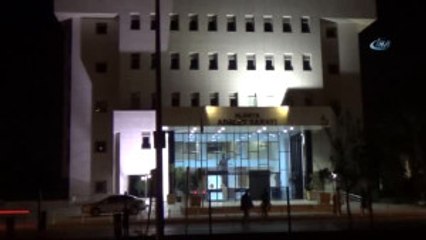 Alanya'daki Kedi Katliamına Suç Duyurusu