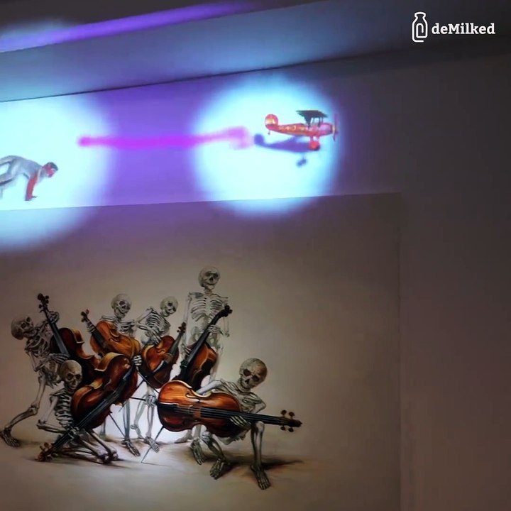 projector maping monkey