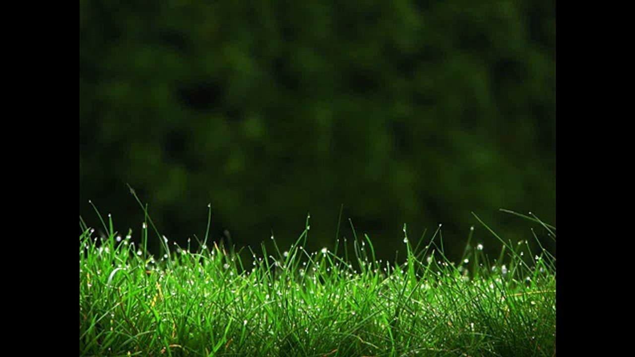 Lin Hai & Friends - What the Pipa Says