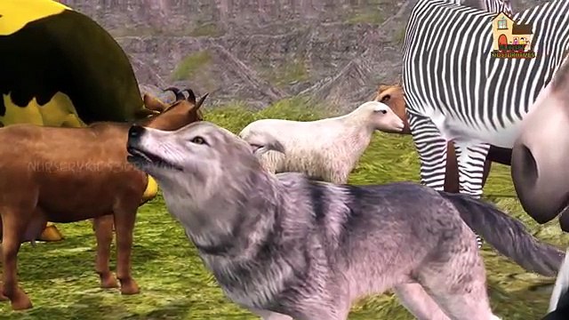 Animals Attacks Compilation | Lion Attacks Tiger, Elephant | Animals Cartoons For Children