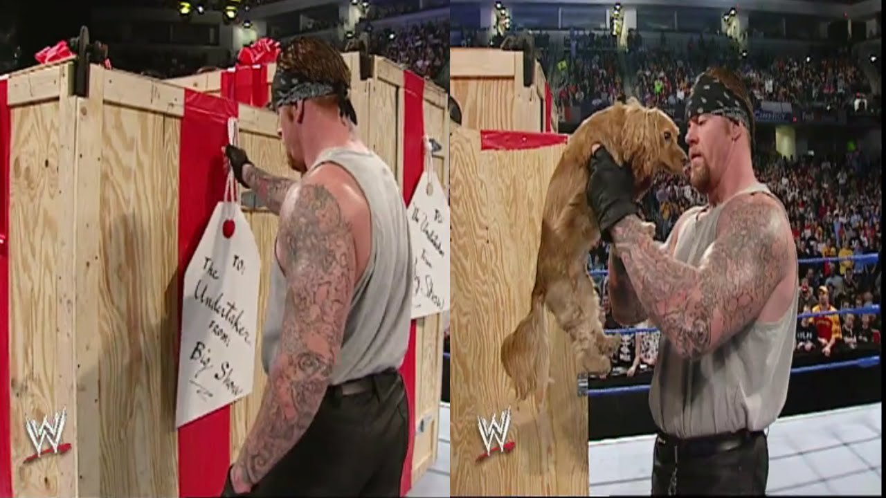 Undertaker opens his present from Big Show funny