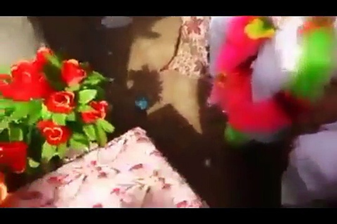 Funny Clips