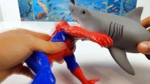 Spiderman vs Great White Shark EPIC BATTLE Bad Shark and Crybaby Spiderman