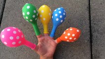 Забавный семья палец песни для детей / учим цвета для детской с воздушными шарами и рук Finger семья
