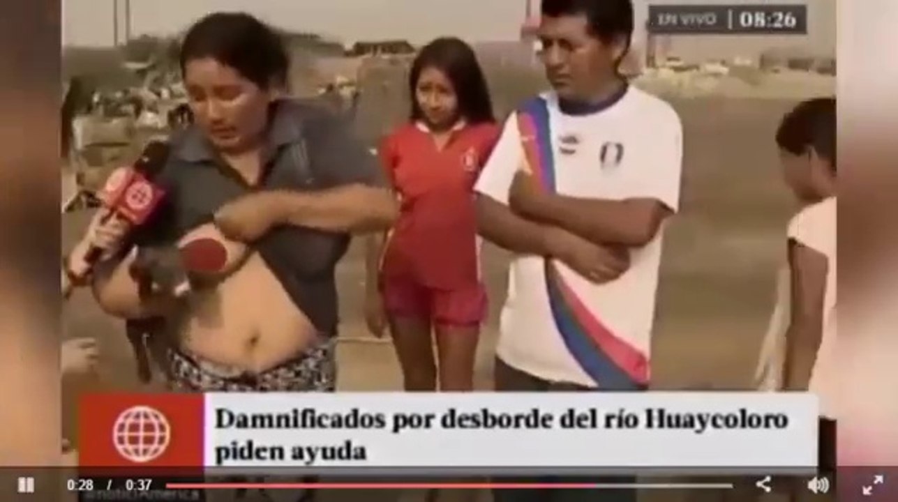 Reporter speechless after woman begins breastfeeding a PIG live on television
