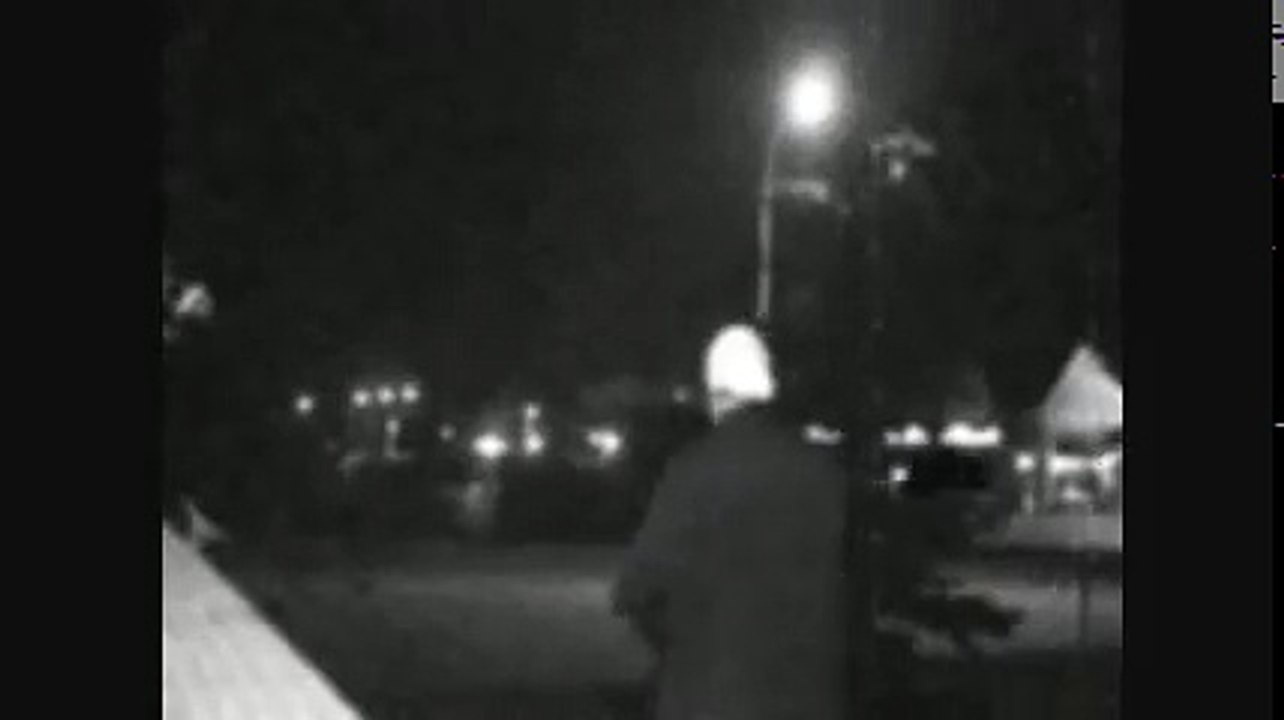 maddkapp - a history of violence (official video)