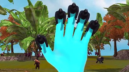 3D animated Colors Gorilla Finger family - Animals Dinosaur Daddy Finger family Rhymes for