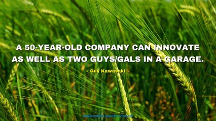 Guy Kawasaki Quotes #1