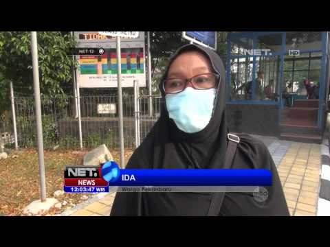 Kabut Asap Akibat Kebakaran Hutan di Pekanbaru, Riau - NET12