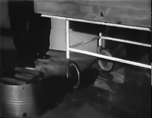 08. Mr. And Mrs. North Loon Lake