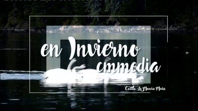CMM - Continuidad Invierno (2017) - Cortinilla Generica
