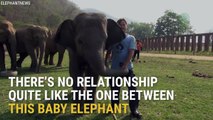 Kid Elephant Has Unlikely Best Friend