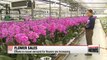 Efforts to boost demand for flowers are increasing