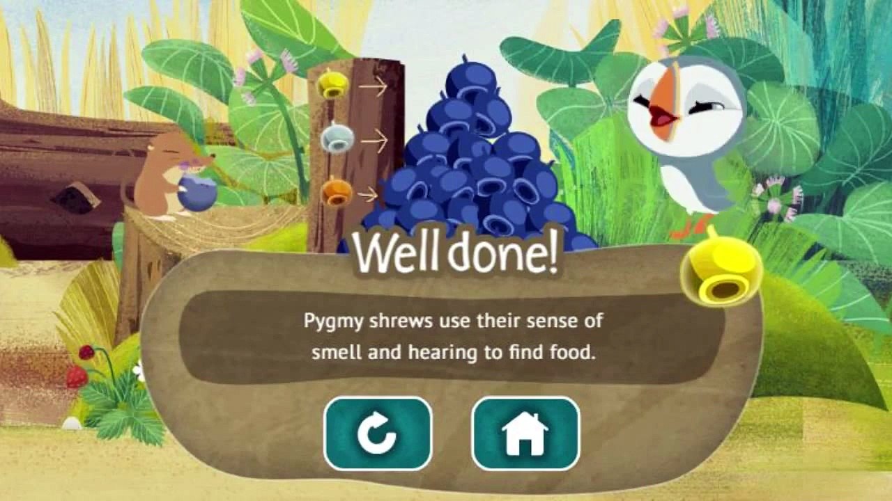 Puffin Rock - Oonas Adventure - Puffin Rock Games