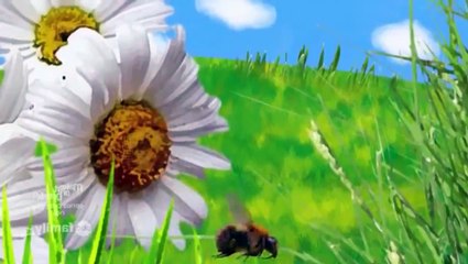 The Secret Life of the American Teenager  2x01 The Big One