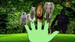 Узнать животных с палец семья nursery английский стишок | палец семейные песни