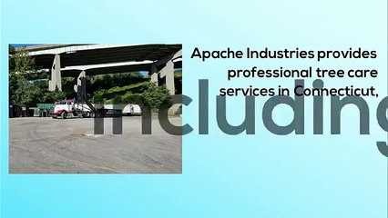 tree service bridgeport ct