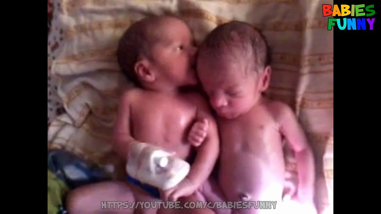 Funny Baby Videos 2017 - Best of Twin Babies Part 2