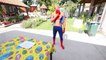JOKER Steals MILKA CHOCOLATE! w_ Spiderman Superman Hulk Superheroes