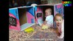 Funny Baby Videos 2017 - Cute Babies Playing In Boxes