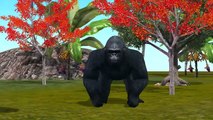 3D Animated Gorilla Finger Family Rhymes | Children Rhymes Animal Finger Family