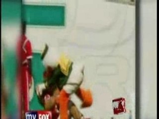 BASTON DE MASCOTTES AUX STATES