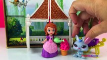 LPS Littlest Pet Shop Little Bunny Toy with Sofia the First Princess Toys by DisneyToysRev