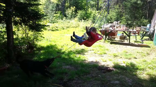 Funniest Cute Kids & Pets Home Video Bloopers Caught On Tape Weekly Compilation _ Kyoot Kids