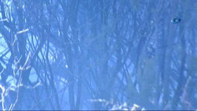 Sarıyer'de Orman Yangını... Yangına Helikopter ile Havadan Müdahale Edildi