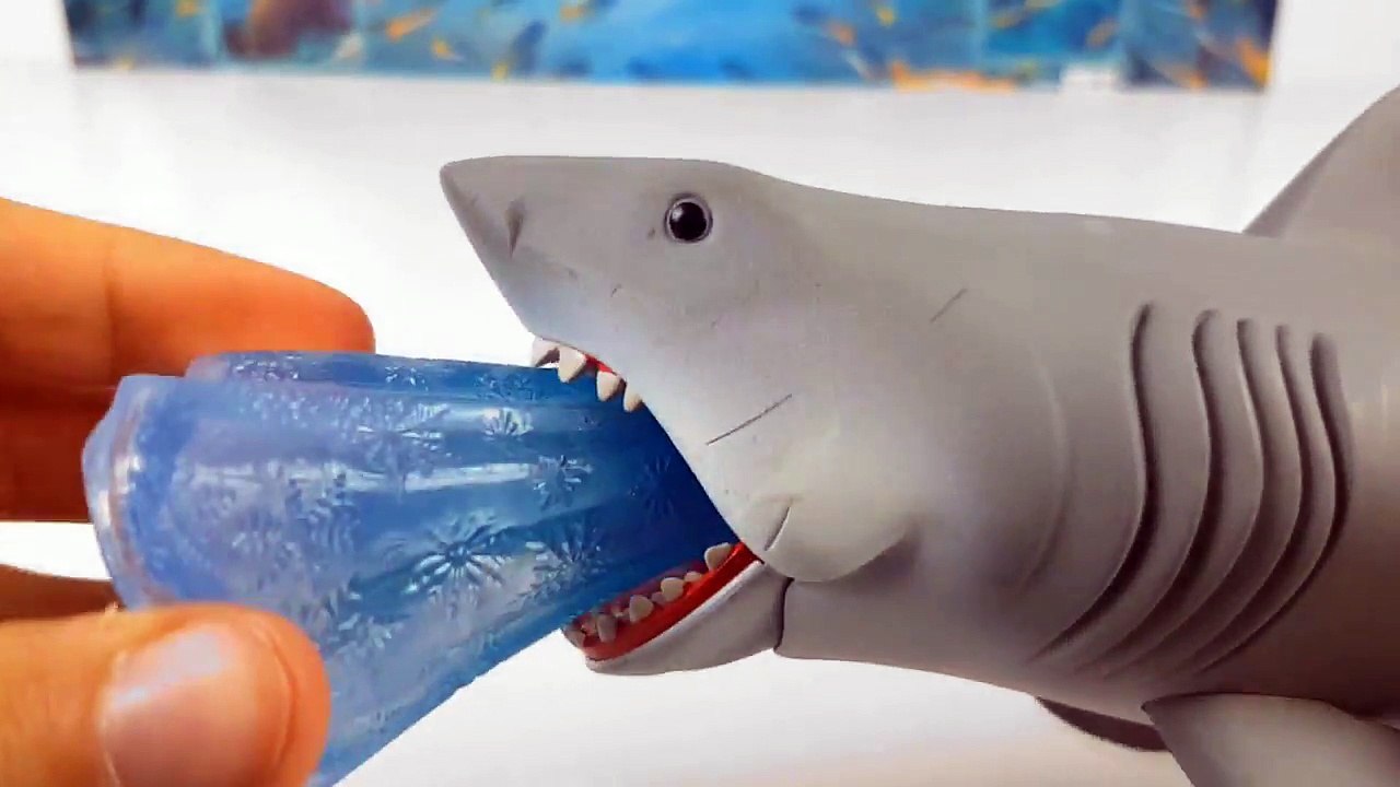 Злой больших белых акул, нападения Королева Эльза