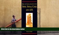 BEST PDF  Basic and Clinical Anatomy of the Spine, Spinal Cord, and Ans Gregory D. Cramer DC  PhD