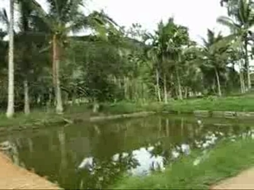 Campagne Bukittinggi