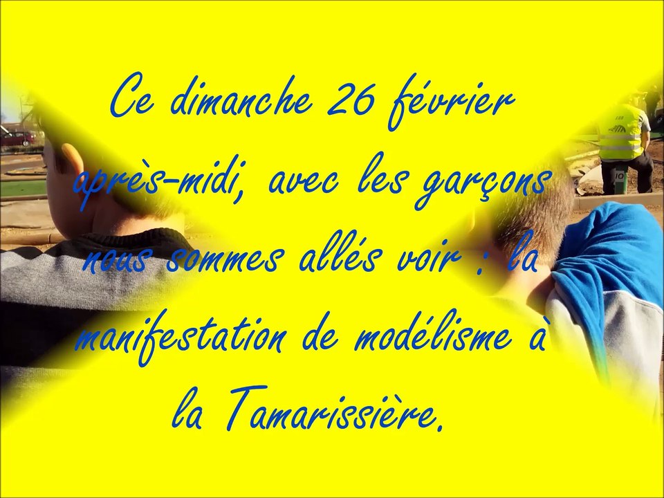 Course de mini voitures03