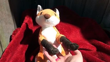 Open Shut Them + More | Super Simple Songs