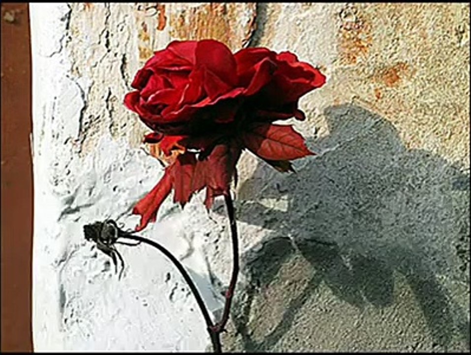 serdar tuncer bir ah etmem