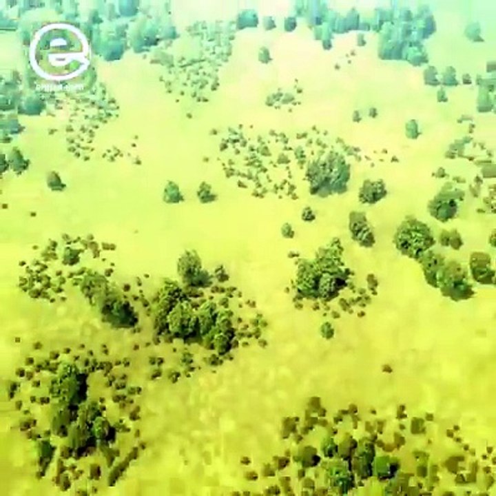 Great discovery of USA army