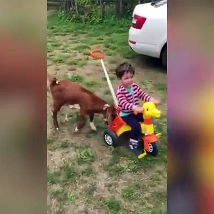 These 2 boys make a good team... 