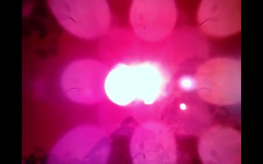 NIBIRU Planet X system clearly visible 4 o clock to our sun