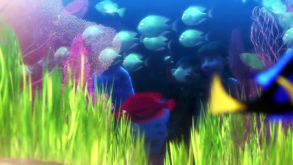 Finding Dory - Little Dory Baby