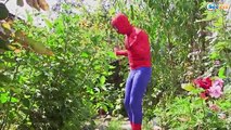 SPIDERMAN Conejito de Pascua Sorpresa Caza del Huevo de SPIDER-MAN vs Deadpool Huevos Superhéroes en Real de L