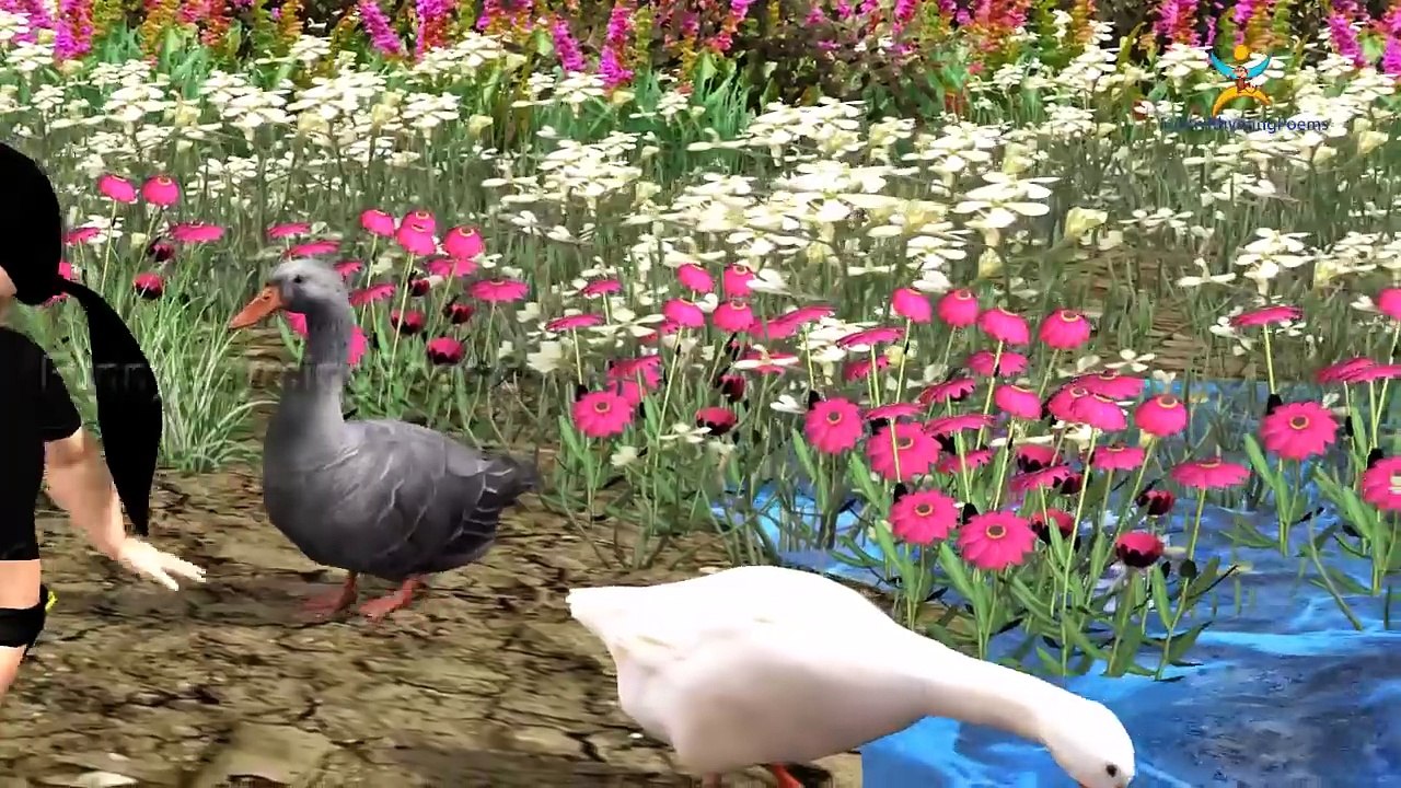 3D Dainosuer Finger Family rhymes | Nursery Rhymes children | Wild Animals animated Rhymes