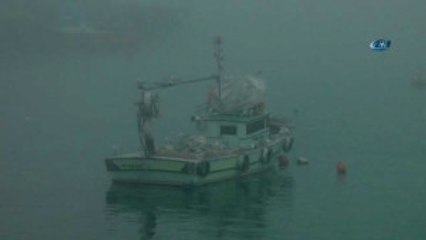 Karadeniz'de Yoğun Sis Etkili Oldu