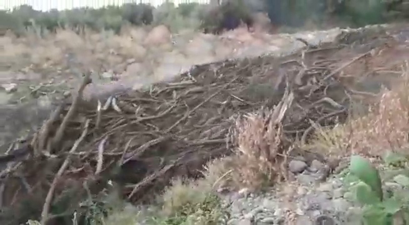 Une crue éclaire incroyable à San Fernando - 25 février 2017