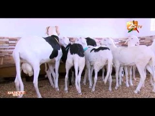 GUETH GUI 29 MAI 2016