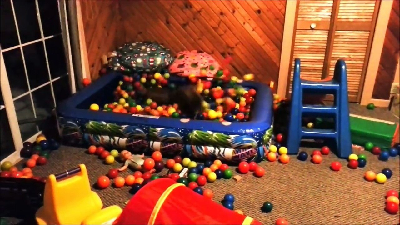 FUNNY DOG VIDEOS 4