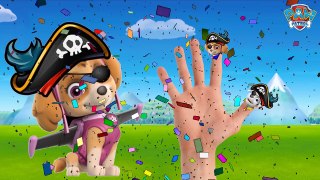 Baby Learning Songs! Paw Patrol Transforms Into Pirates, Finger Family Nursery Rhymes Songs For Kids